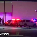 Man shot killed by police after driving into Texas mall during high speed chase