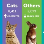 The Animal Foundation 2024 lost and found admissions nearly doubled cat intake up 49%